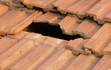 roof repair Hobbins, Shropshire